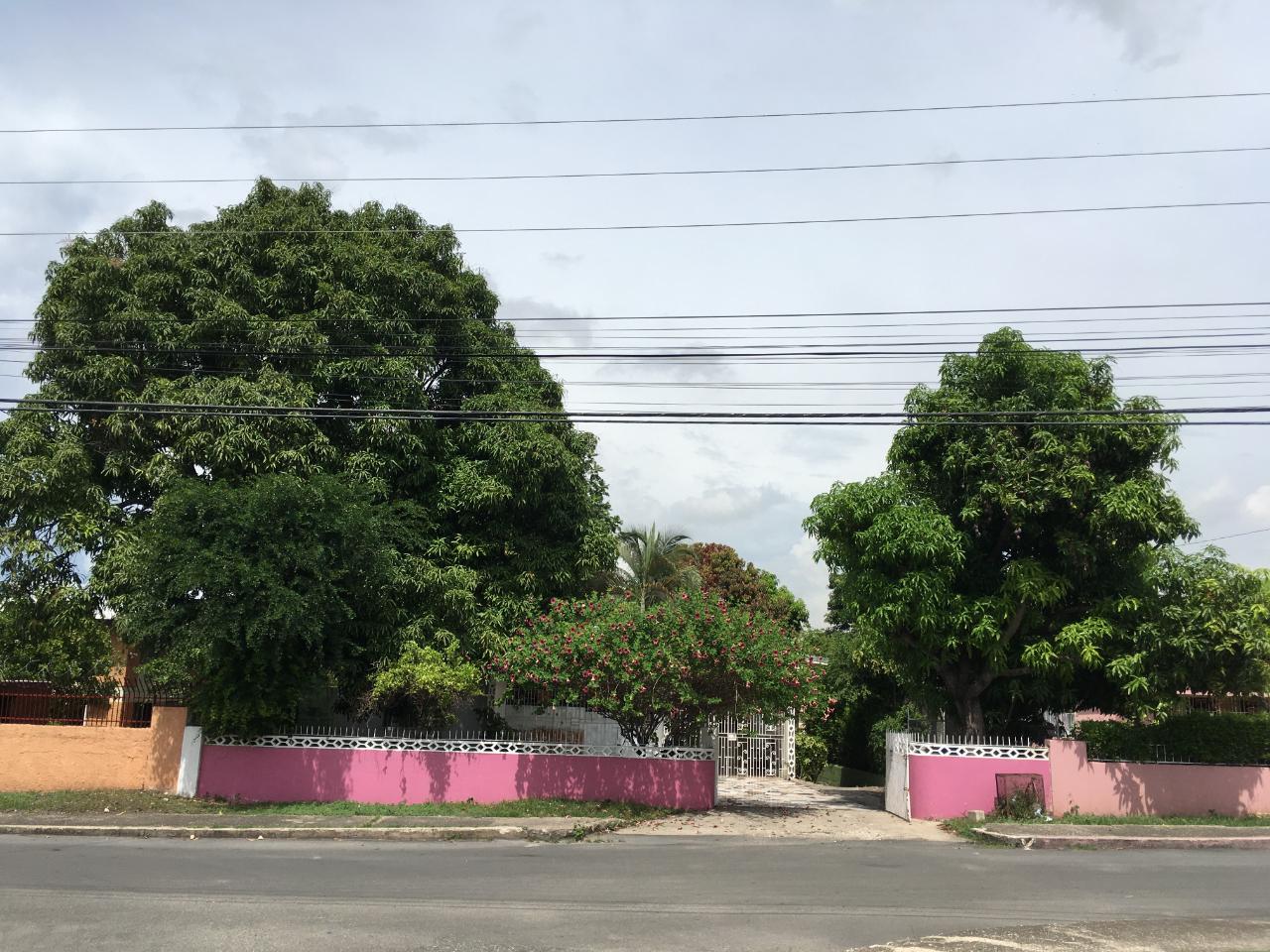 House for Sale   Kingston 8