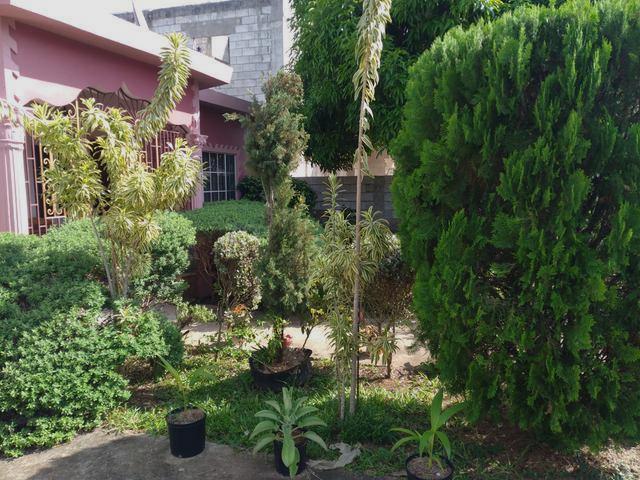 House for Sale   Black River