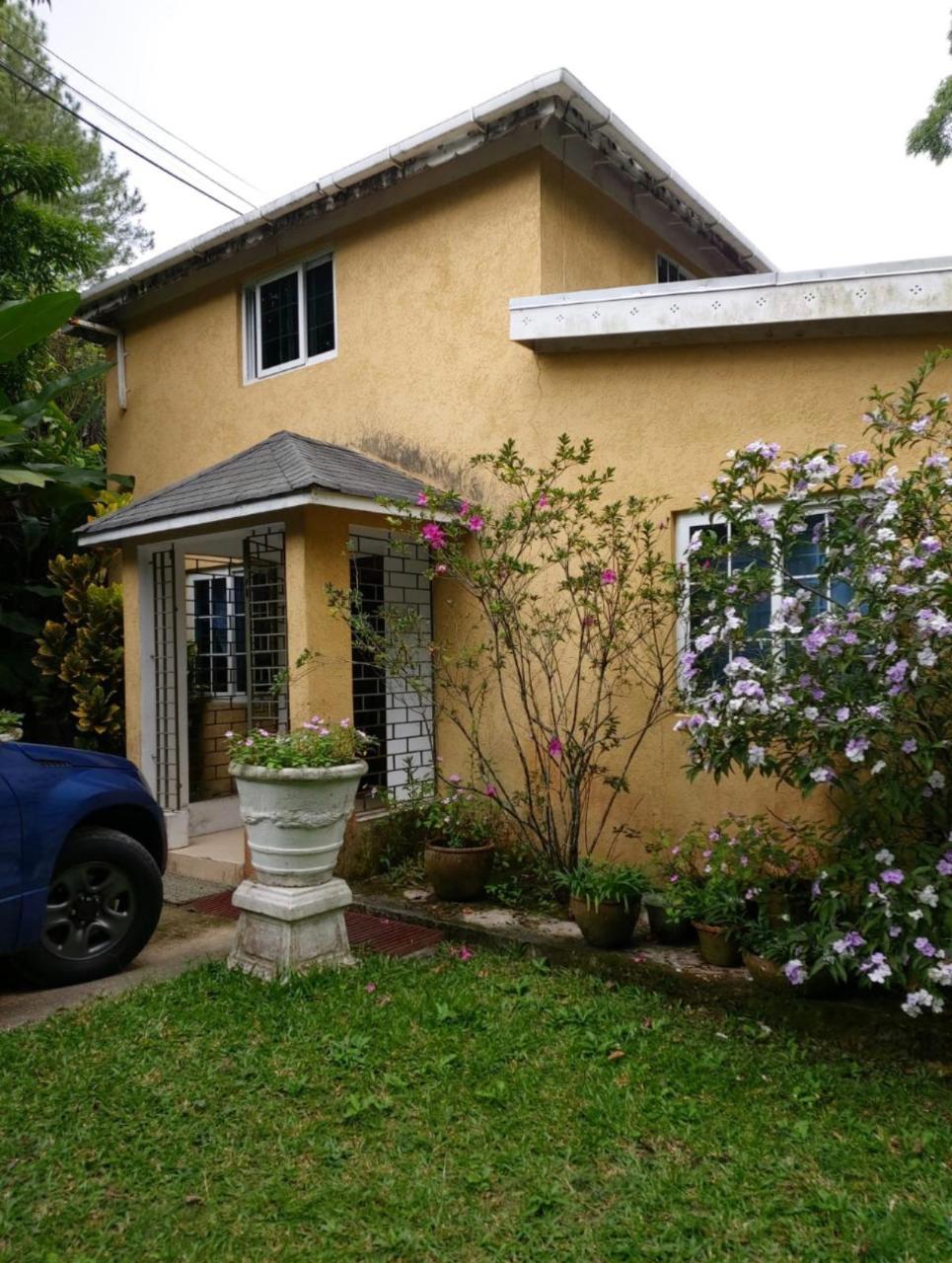House for Rent   Irish Town