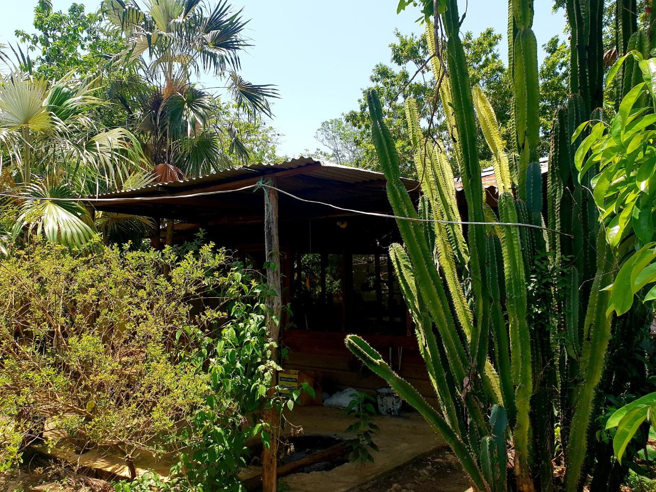House for Sale   Negril