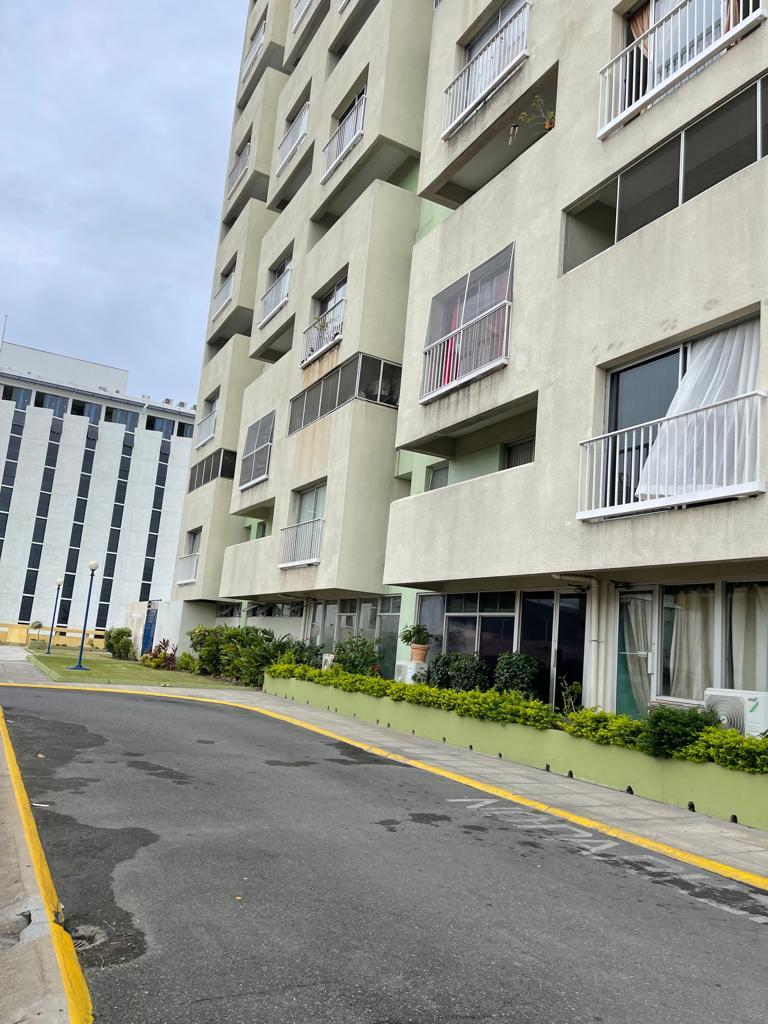 Apartment for Rent   Kingston 1