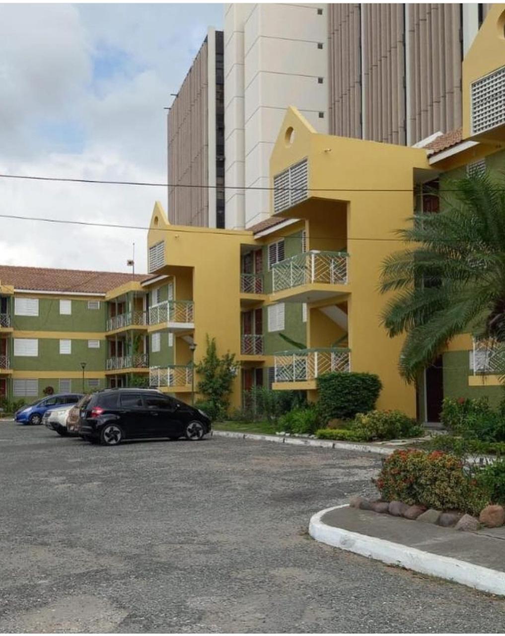 Apartment for Rent   Kingston 10