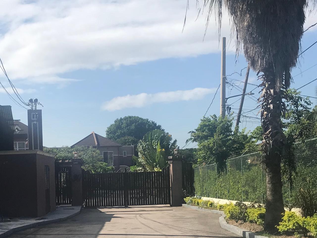 Apartment for Rent   Kingston 6