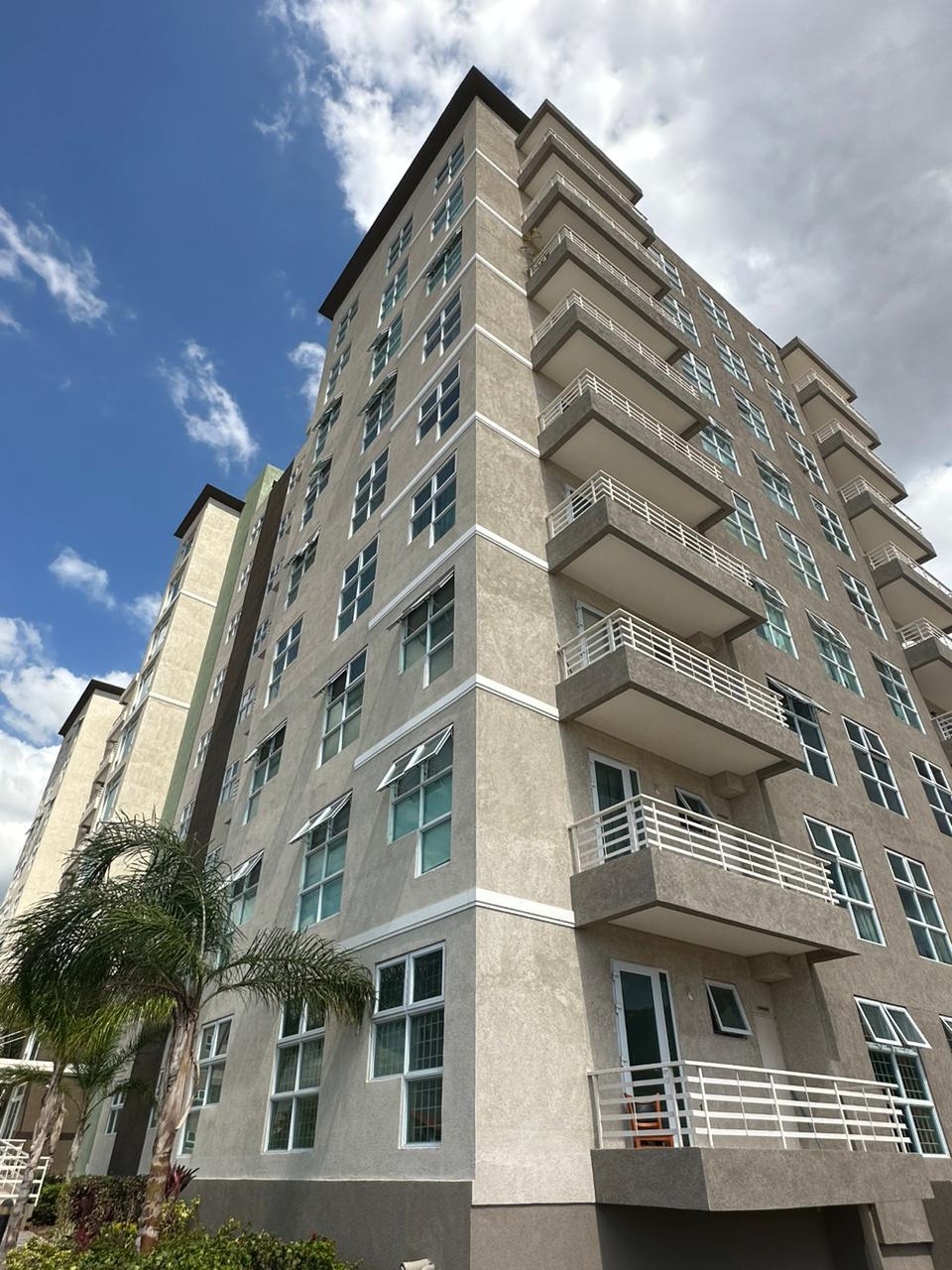 Apartment for Rent   Kingston 6