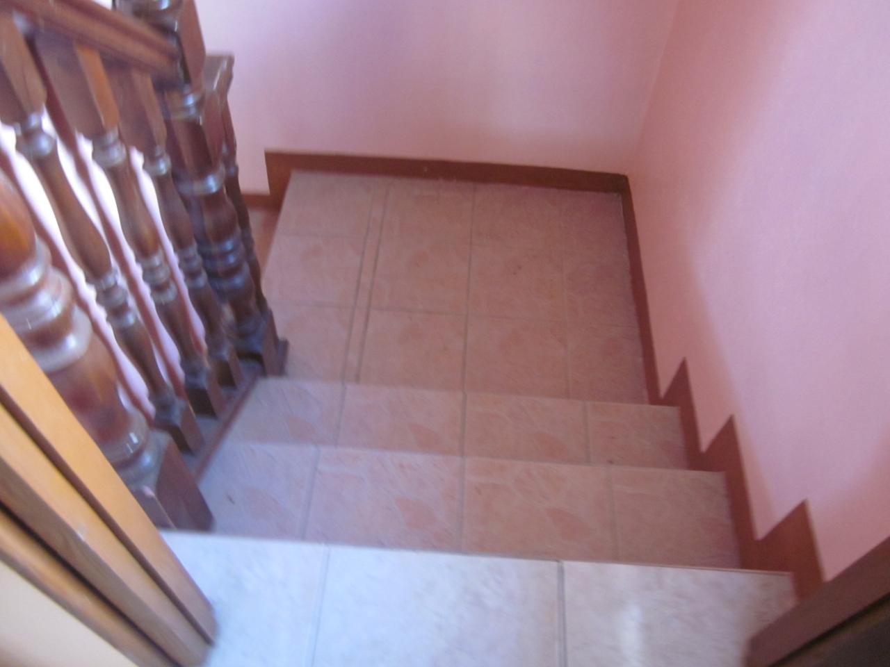 Apartment for Rent   Kingston 19