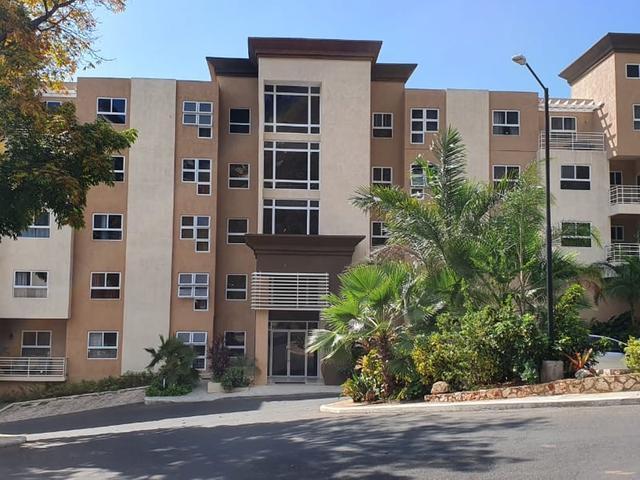 Apartment for Rent   Kingston 19