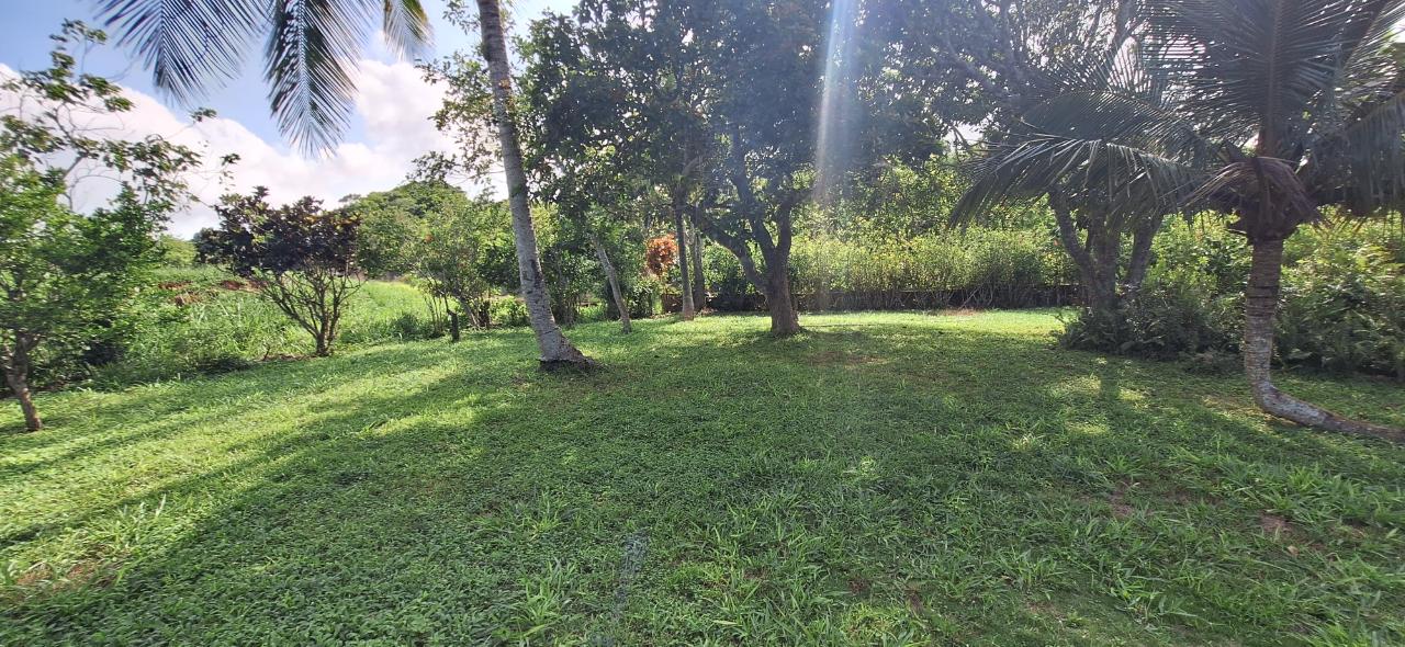 House for Sale   Dalys Grove