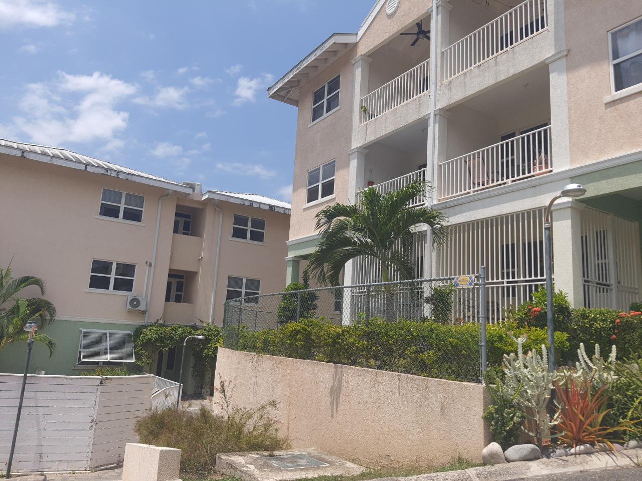 Apartment for Rent   Kingston 8