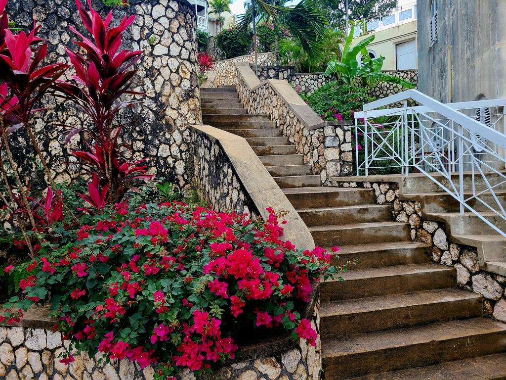 Apartment for Sale   Ocho Rios