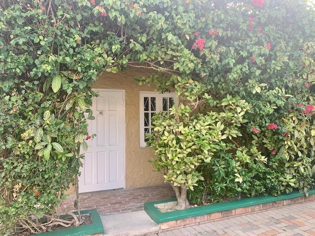 Apartment for Rent   Kingston 6