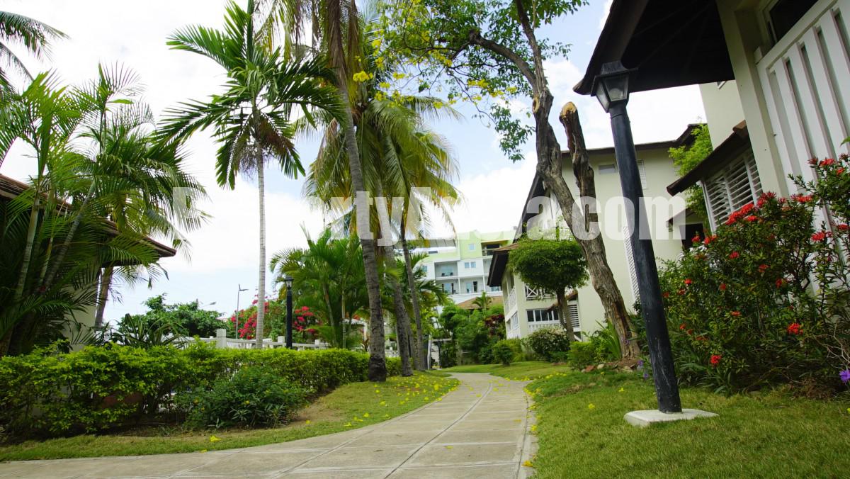 2 bed Apartment For Rent in New Kingston Kingston 5, Kingston / St. Andrew, Jamaica