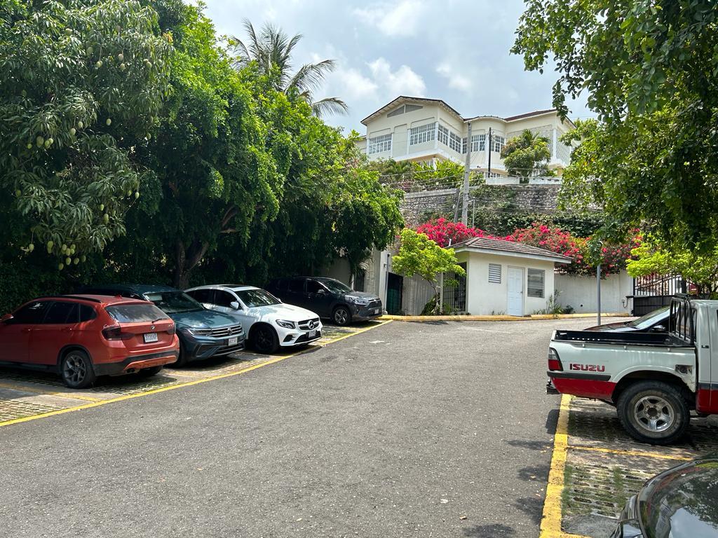 Apartment for Rent   Kingston 8