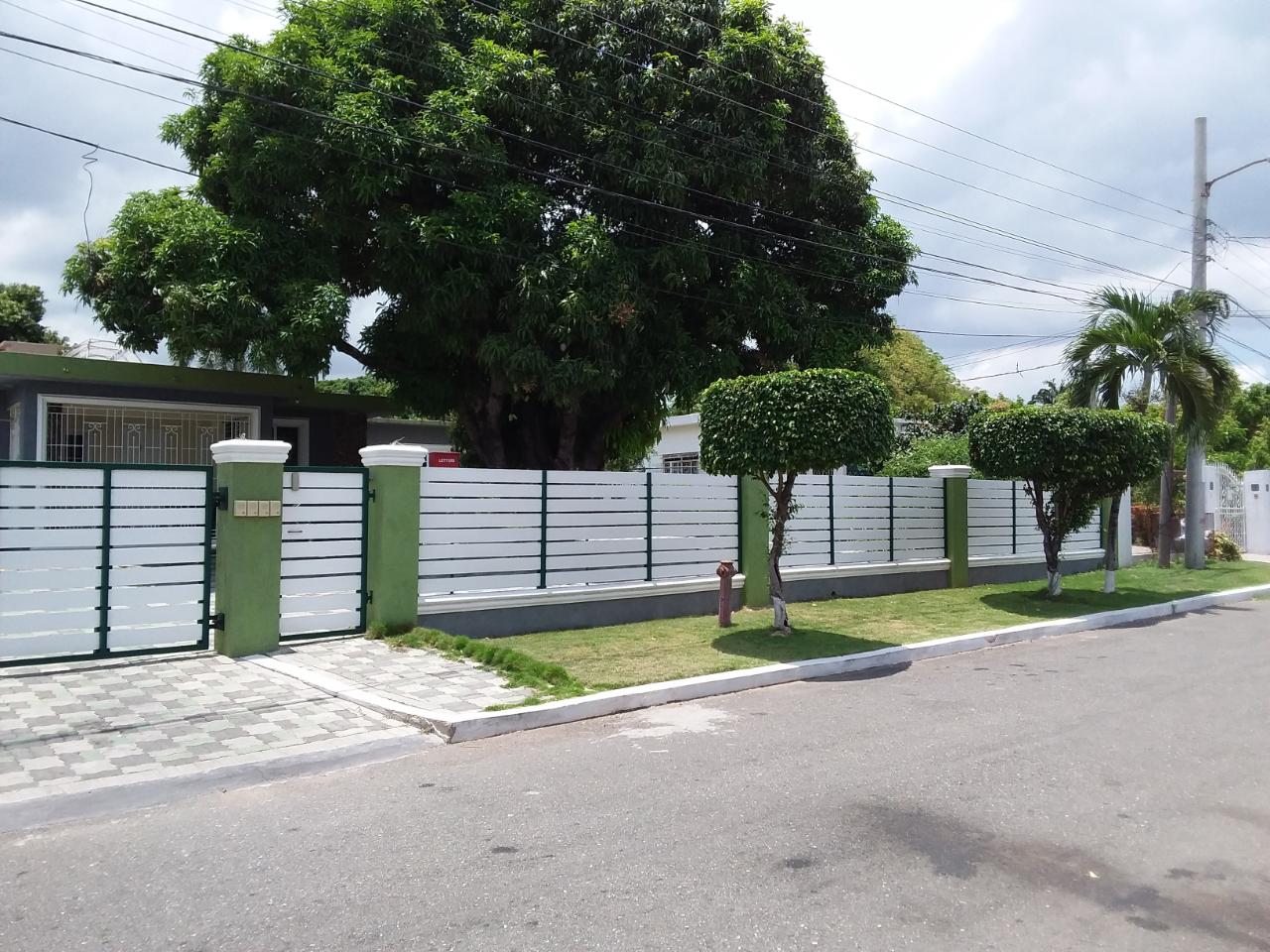 Apartment for Rent   Kingston 6