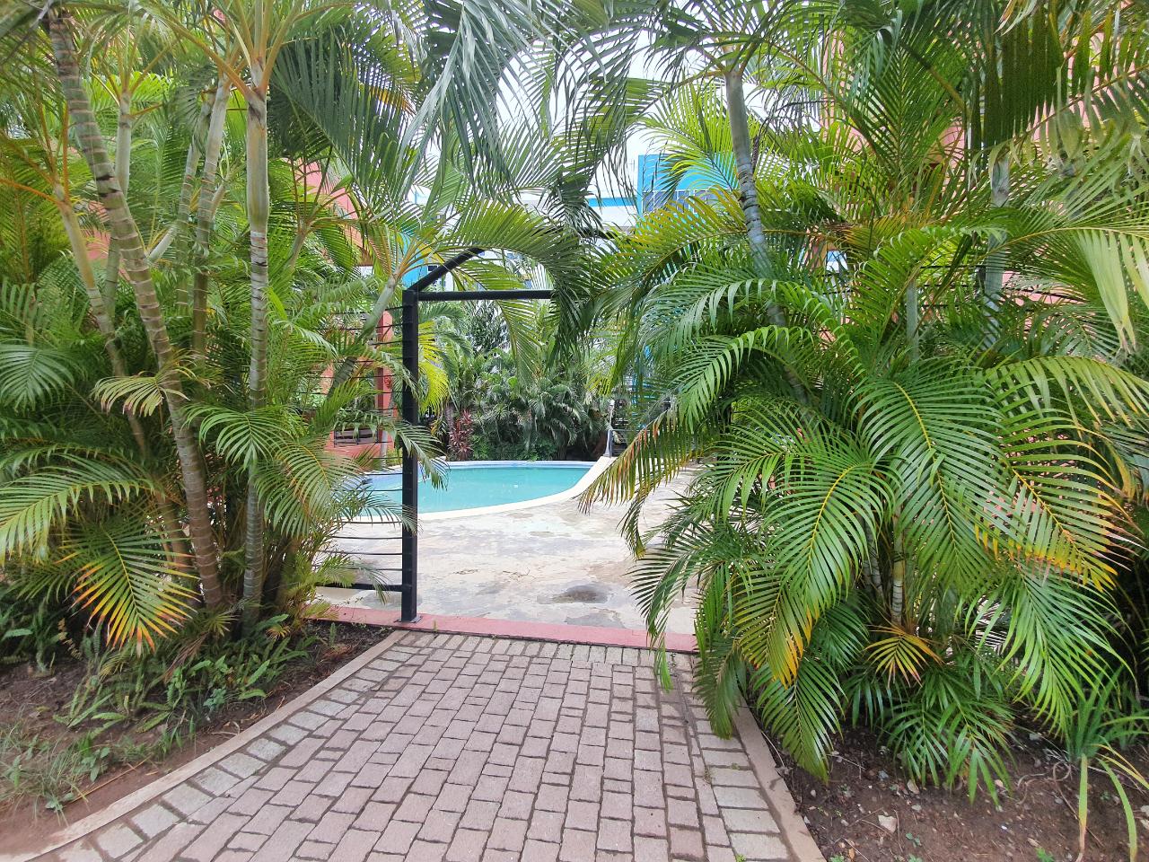 Apartment for Rent   Kingston 10