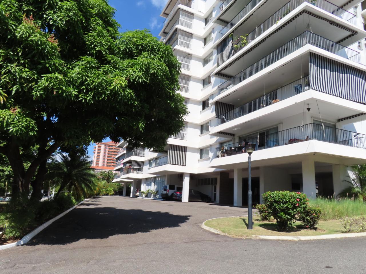 Apartment for Rent   Kingston 8