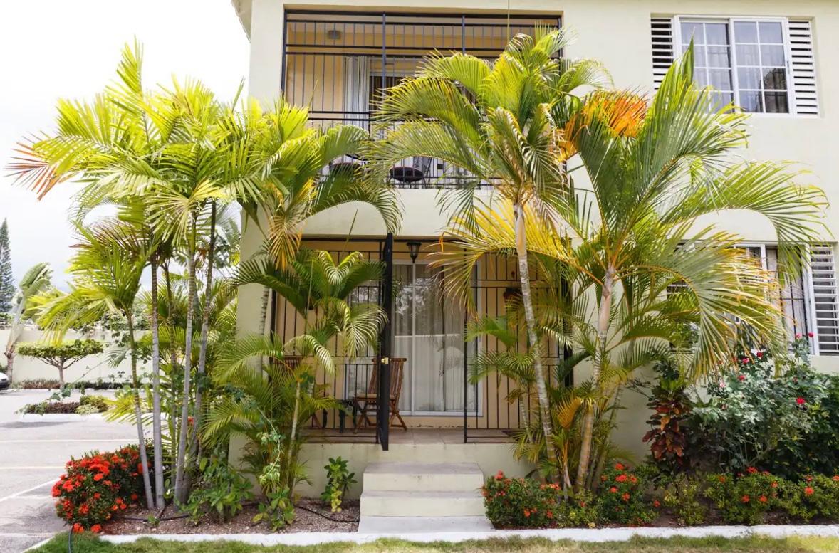 Apartment for Rent   Kingston 6