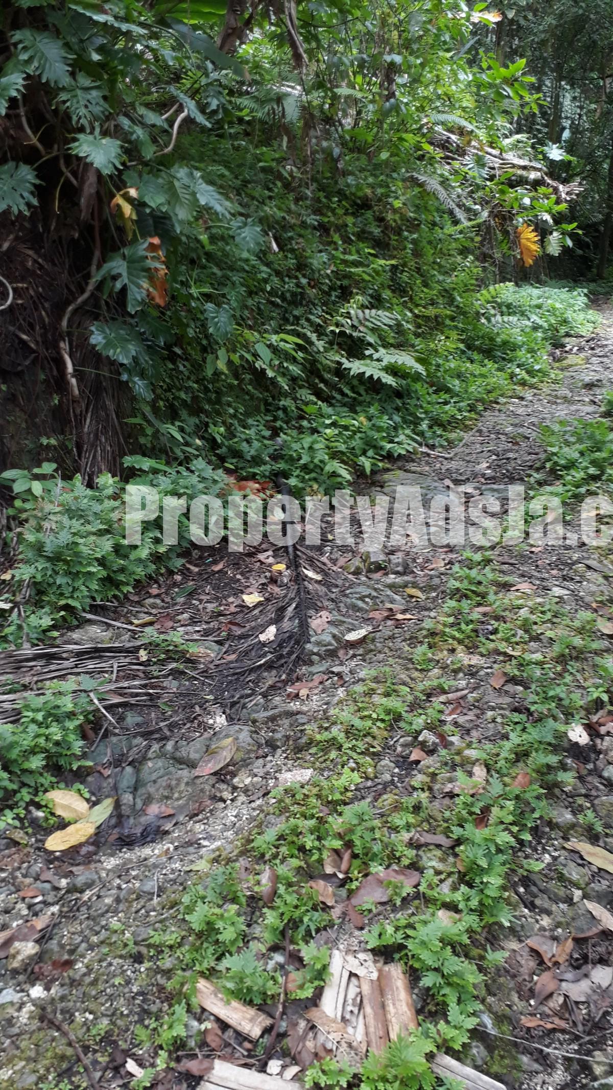 Residential lot For Sale in Evergreen near Mile Gully Manchester, Manchester, Jamaica