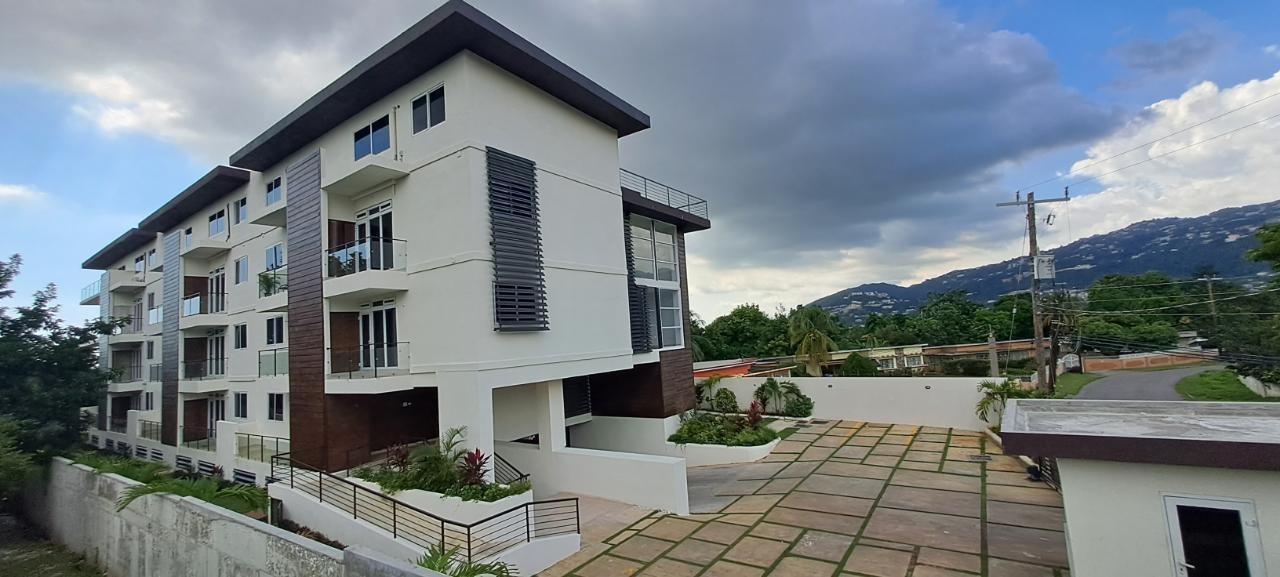 Apartment for Rent   Kingston 19