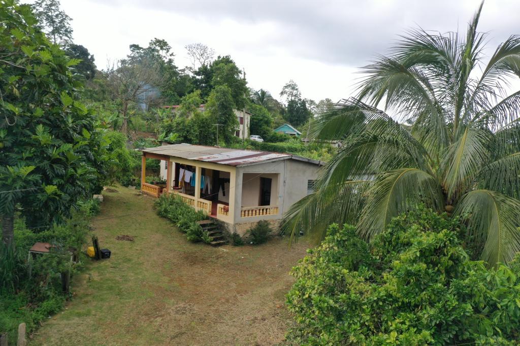 House for Sale   Moneague