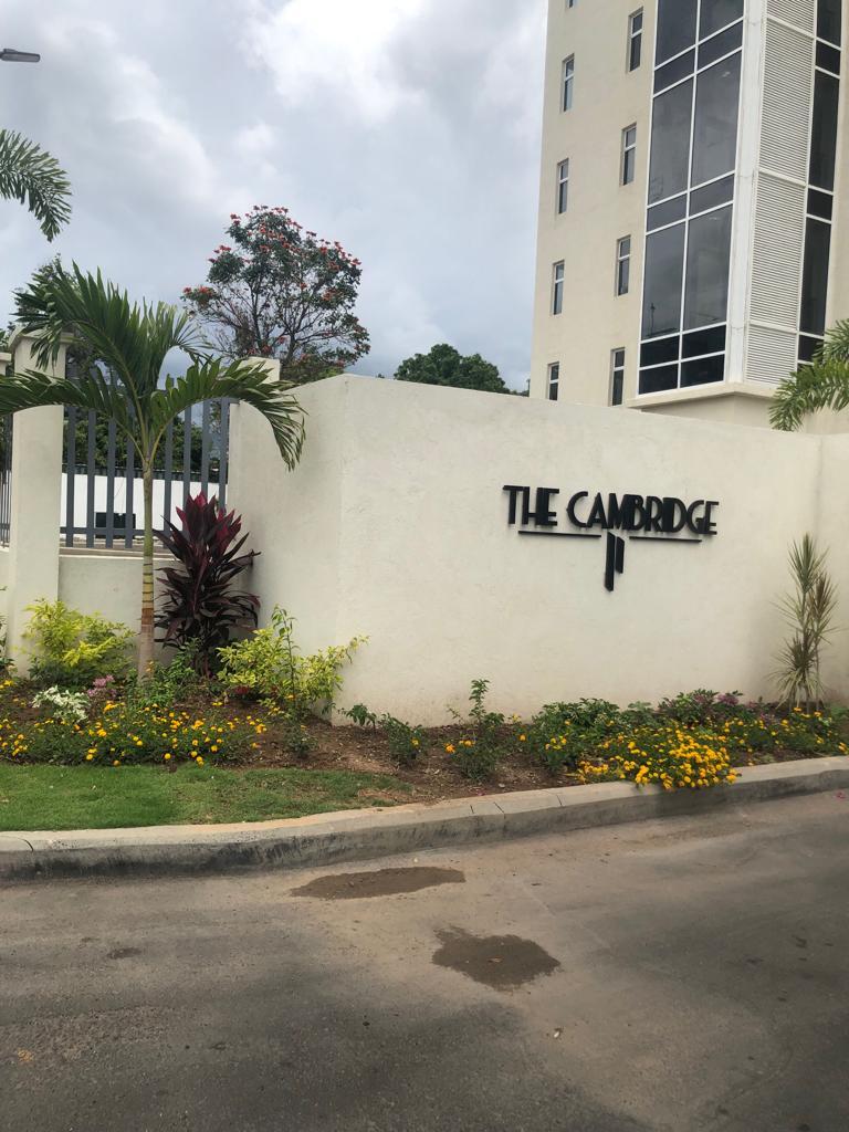 Apartment for Rent   Kingston 5