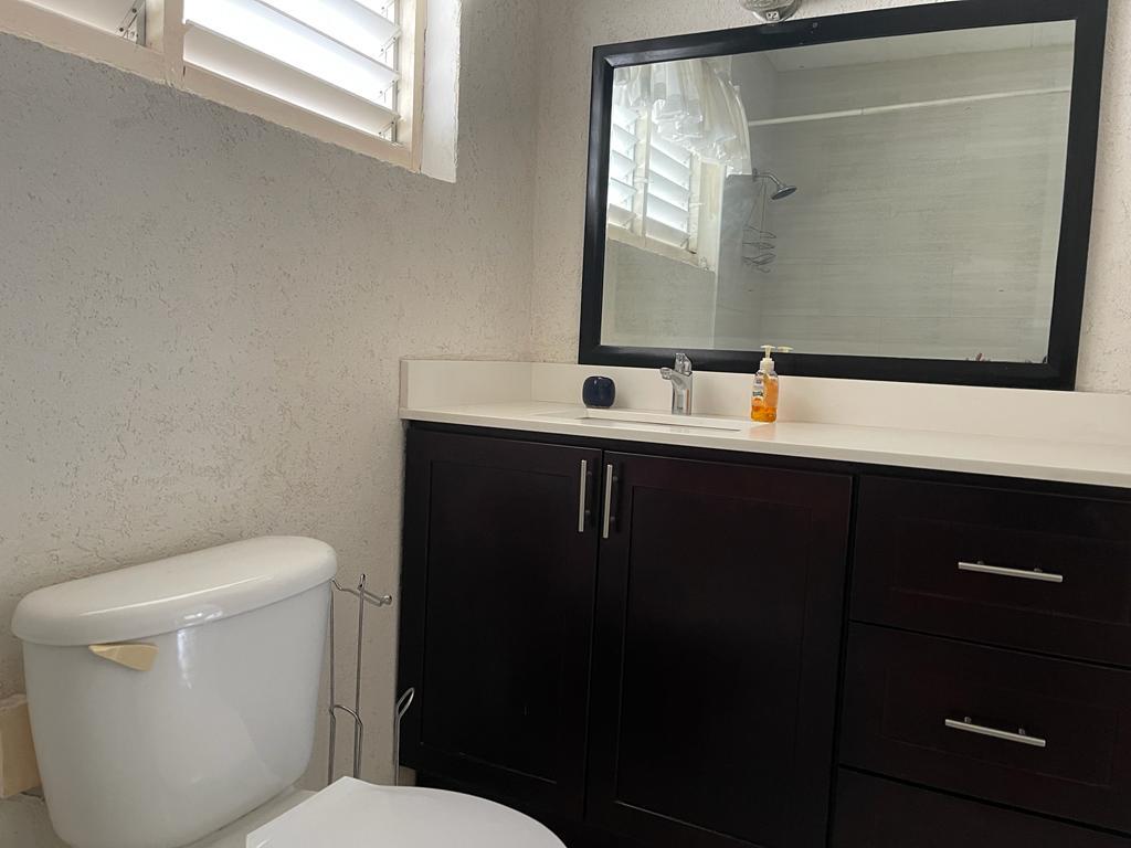 Apartment for Rent   Kingston 6