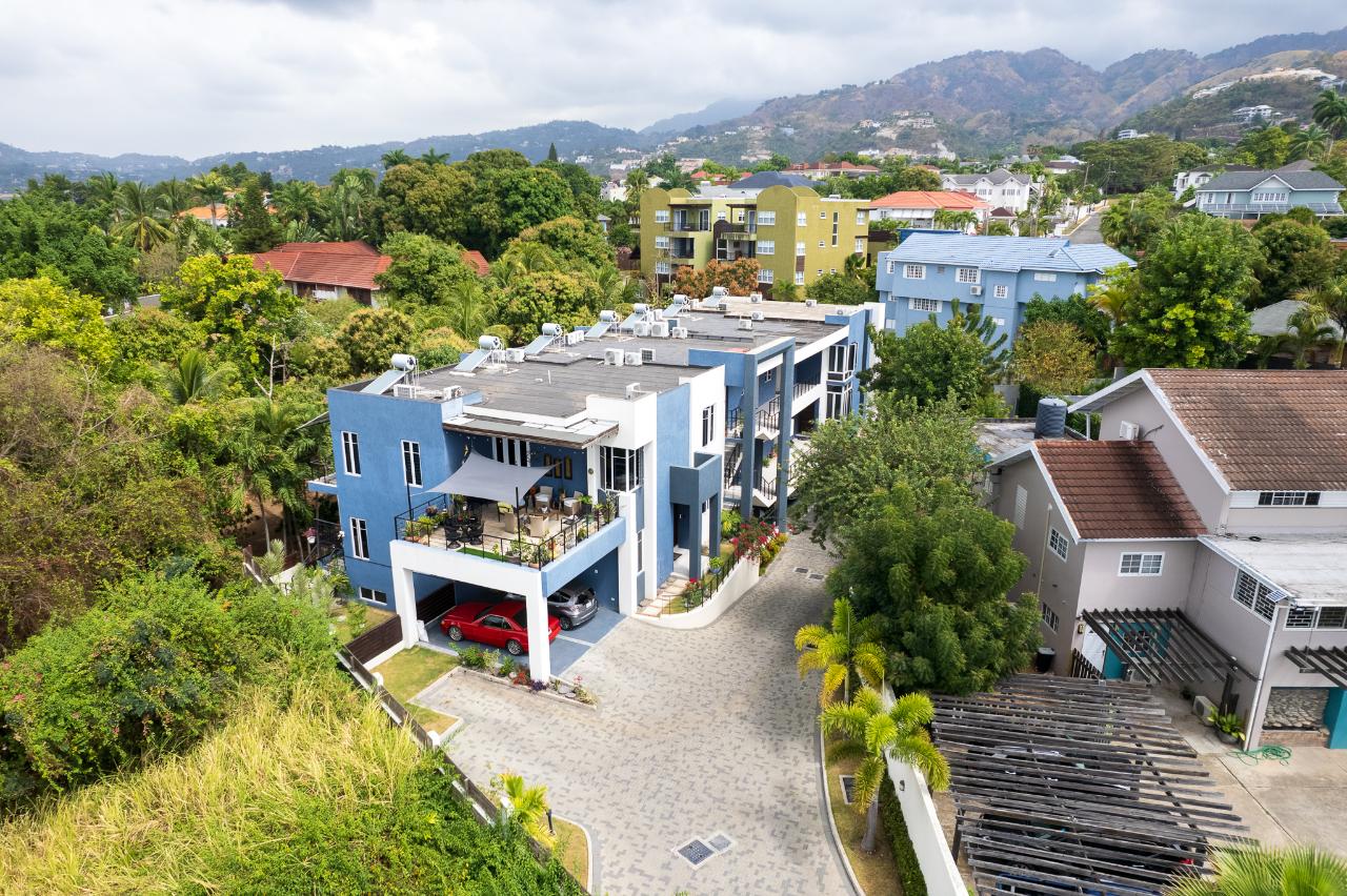 Apartment for Rent   Kingston 6