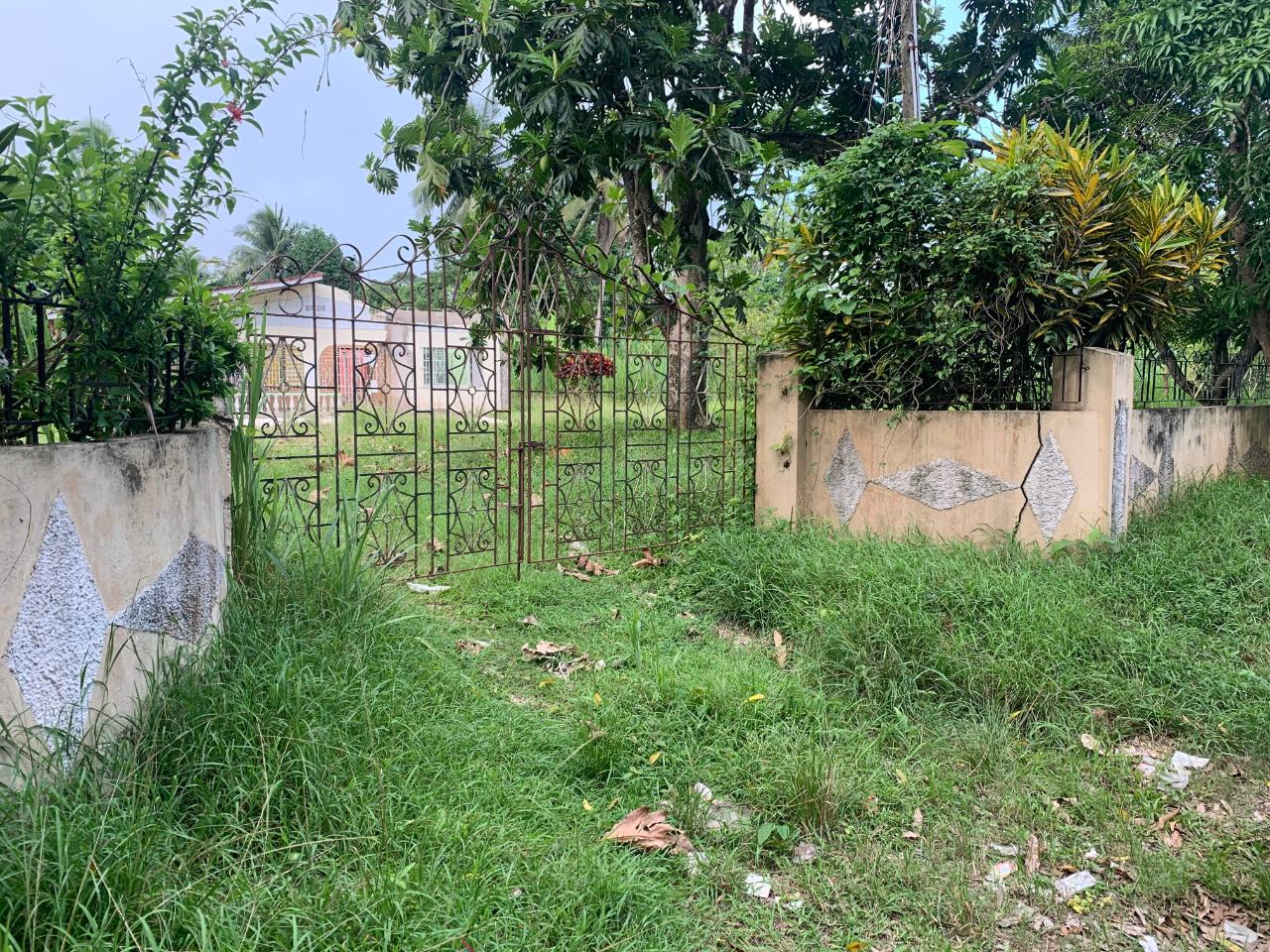 House for Sale   Bog Walk