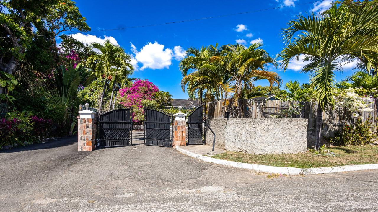 House for Rent   Kingston 8