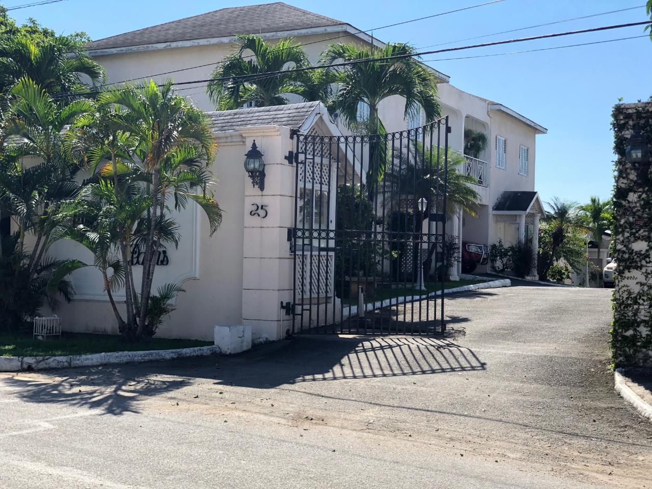 Apartment for Rent   Kingston 6
