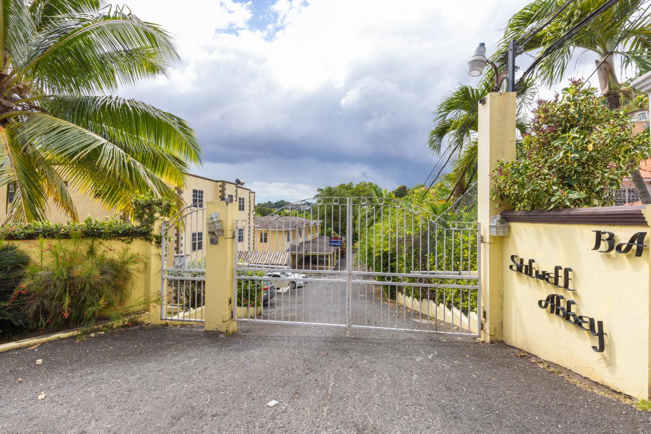 Apartment for Rent   Kingston 8