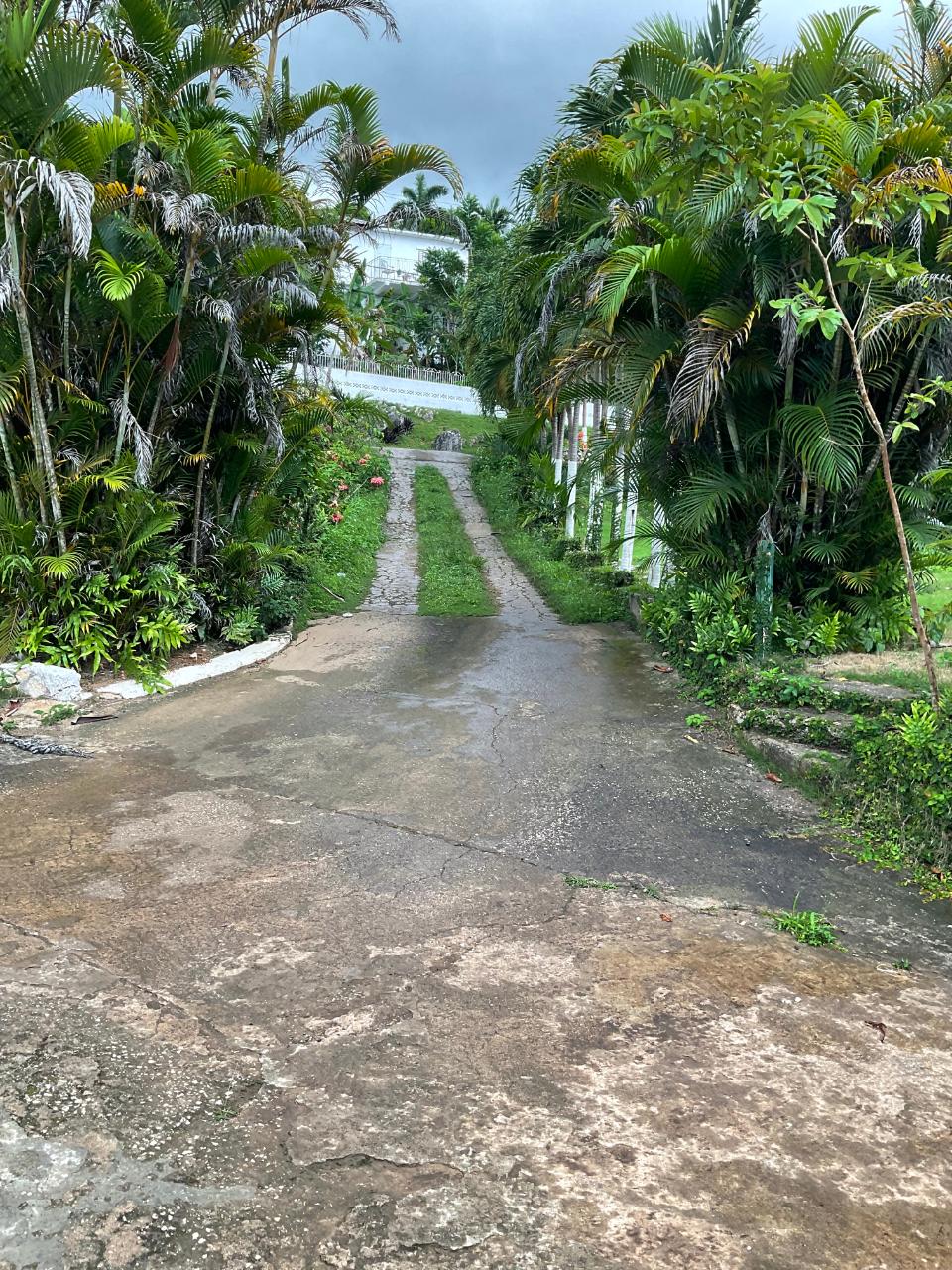 House for Rent   Kingston 9