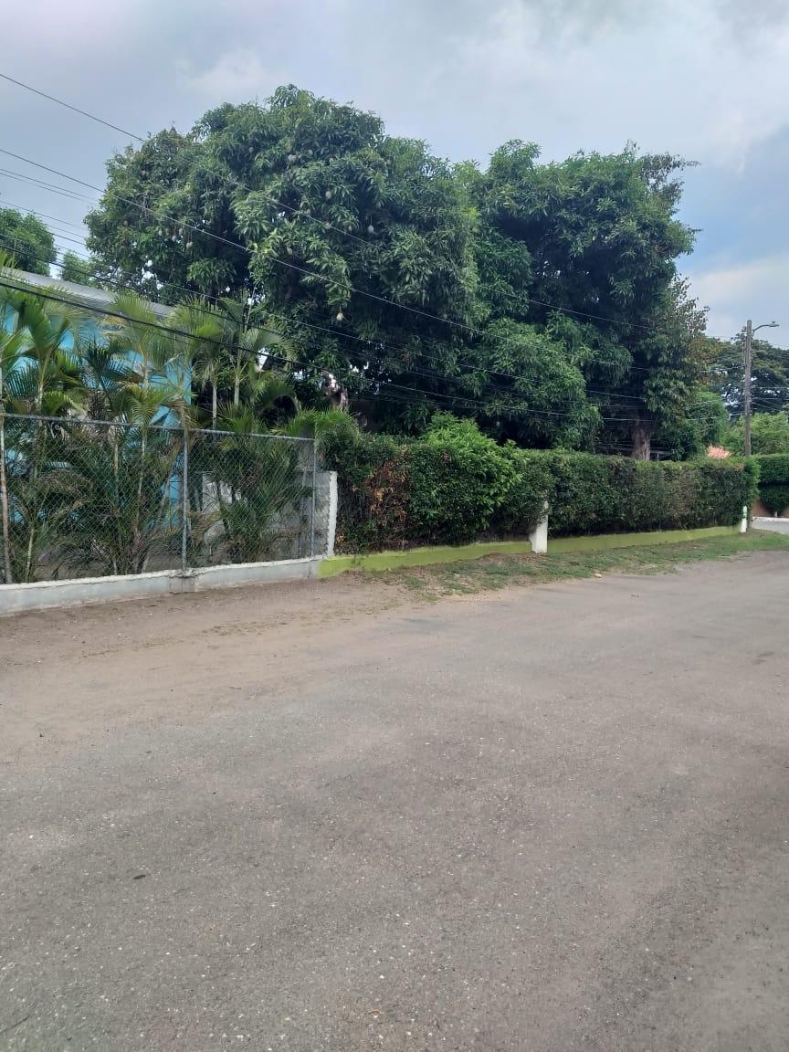 House for Sale Kingston 8