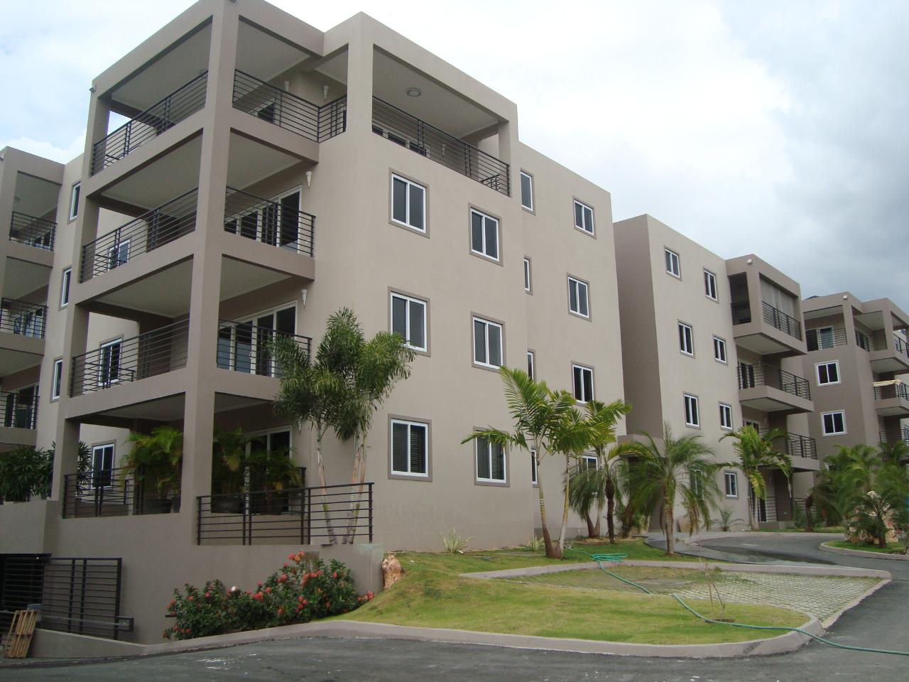 Apartment for Rent   Kingston 8