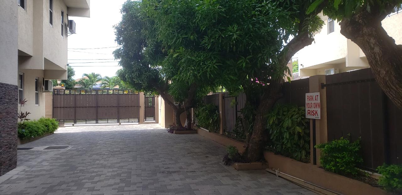 Apartment for Rent   Kingston 6