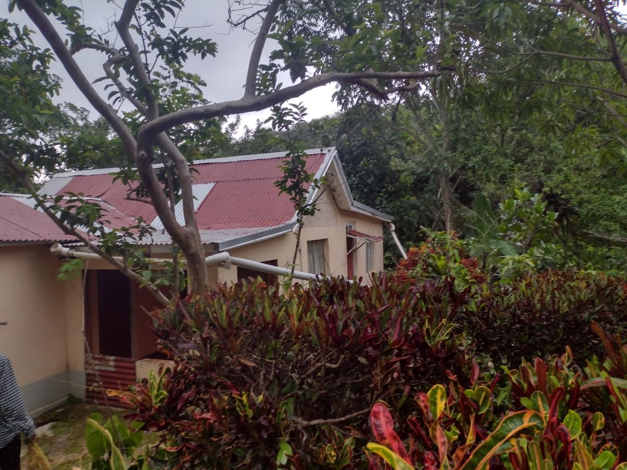House for Sale   Mile Gully