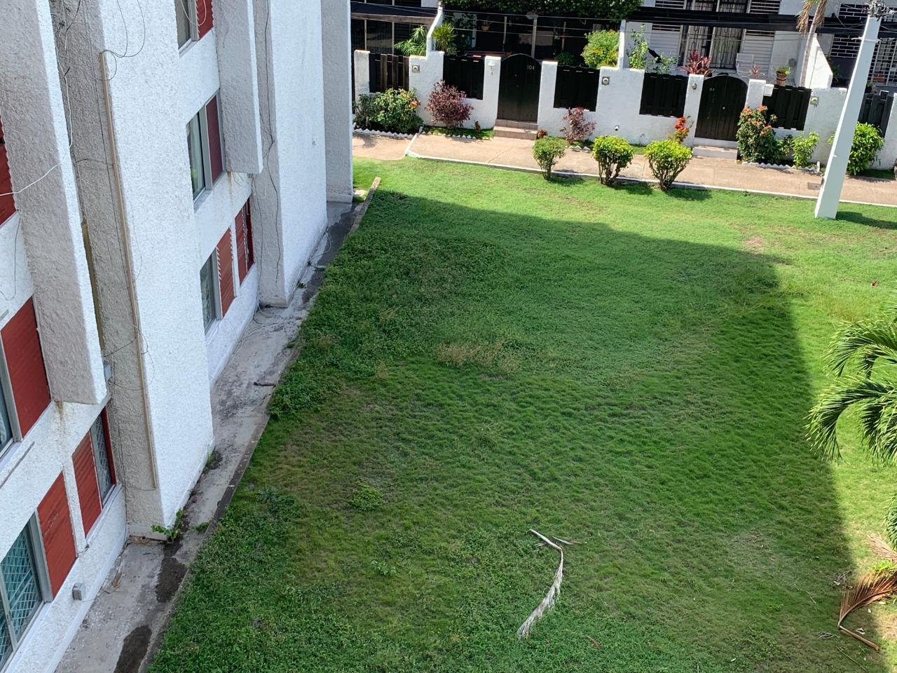 Apartment for Rent   Kingston 8