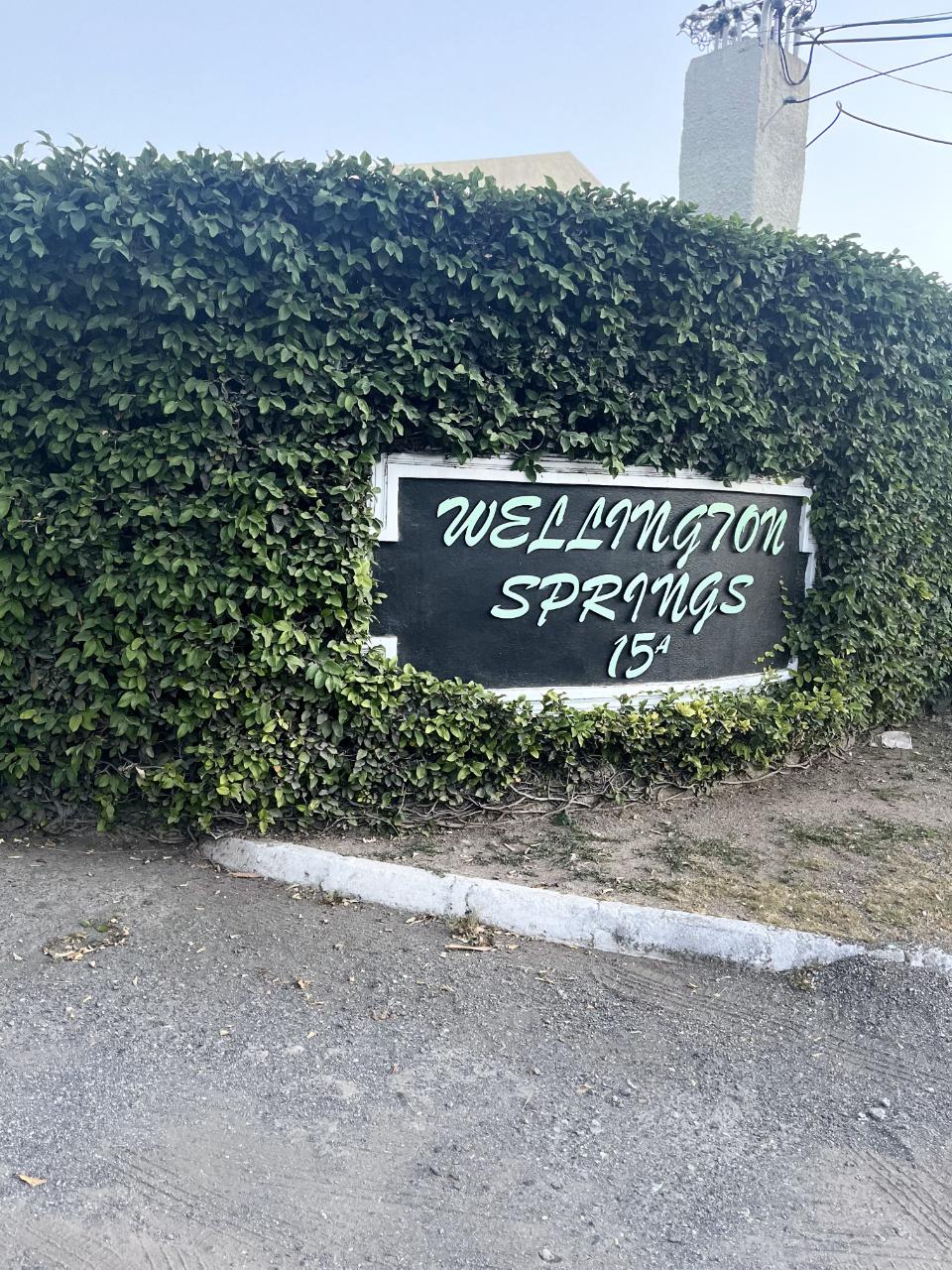 Apartment for Rent   Kingston 6