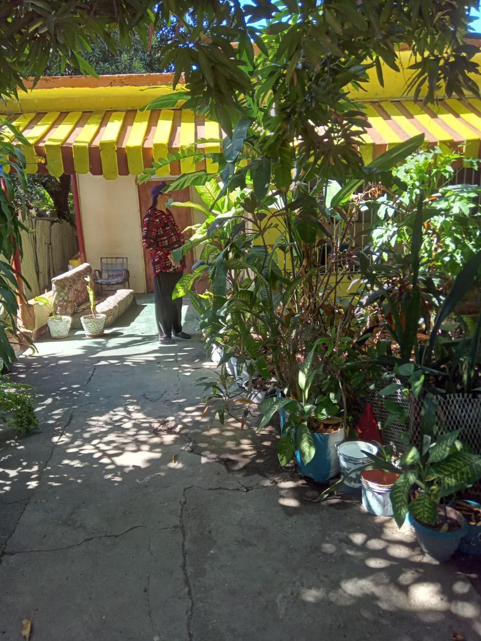House for Sale   Kingston 11