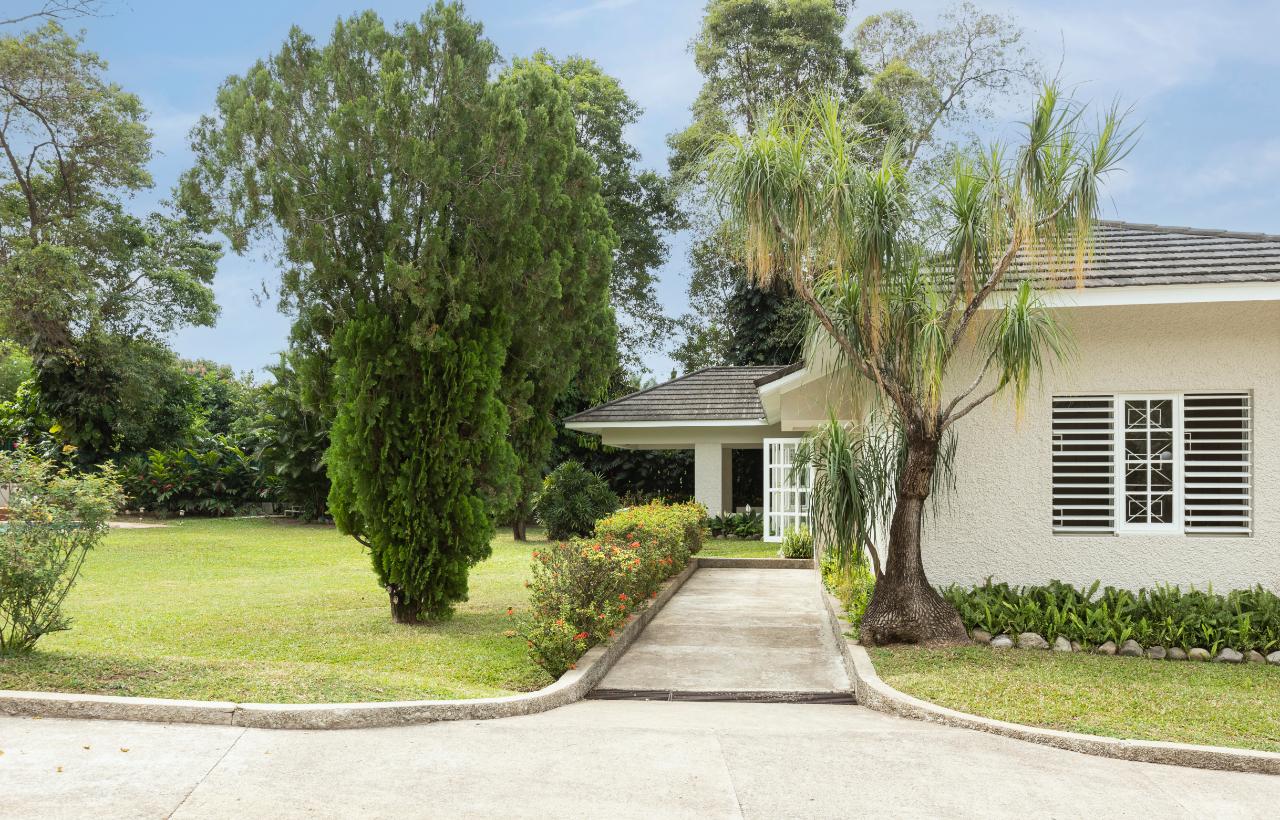 House for Rent   Kingston 8