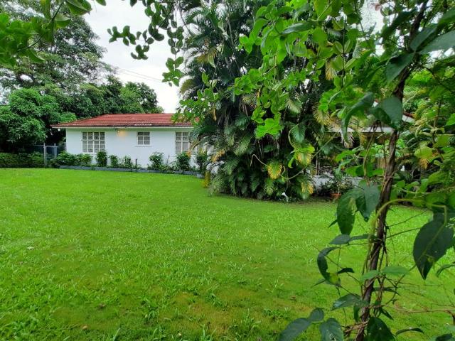 House for Sale   Kingston 8