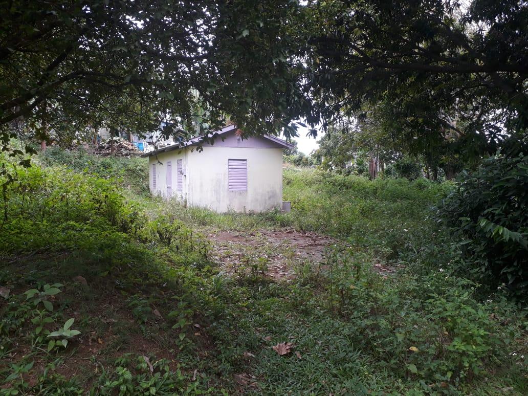 House for Sale   St. Ann's Bay