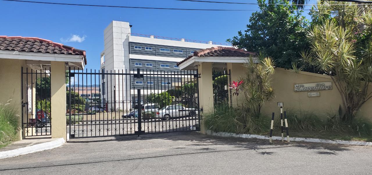 Apartment for Rent   Kingston 6