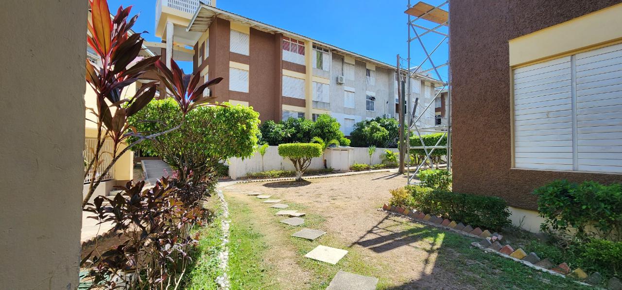 Apartment for Rent   Kingston 10