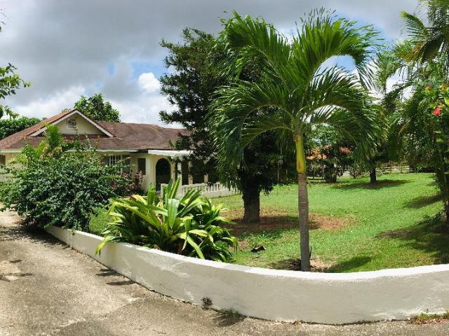 House for Sale   Kingston 8