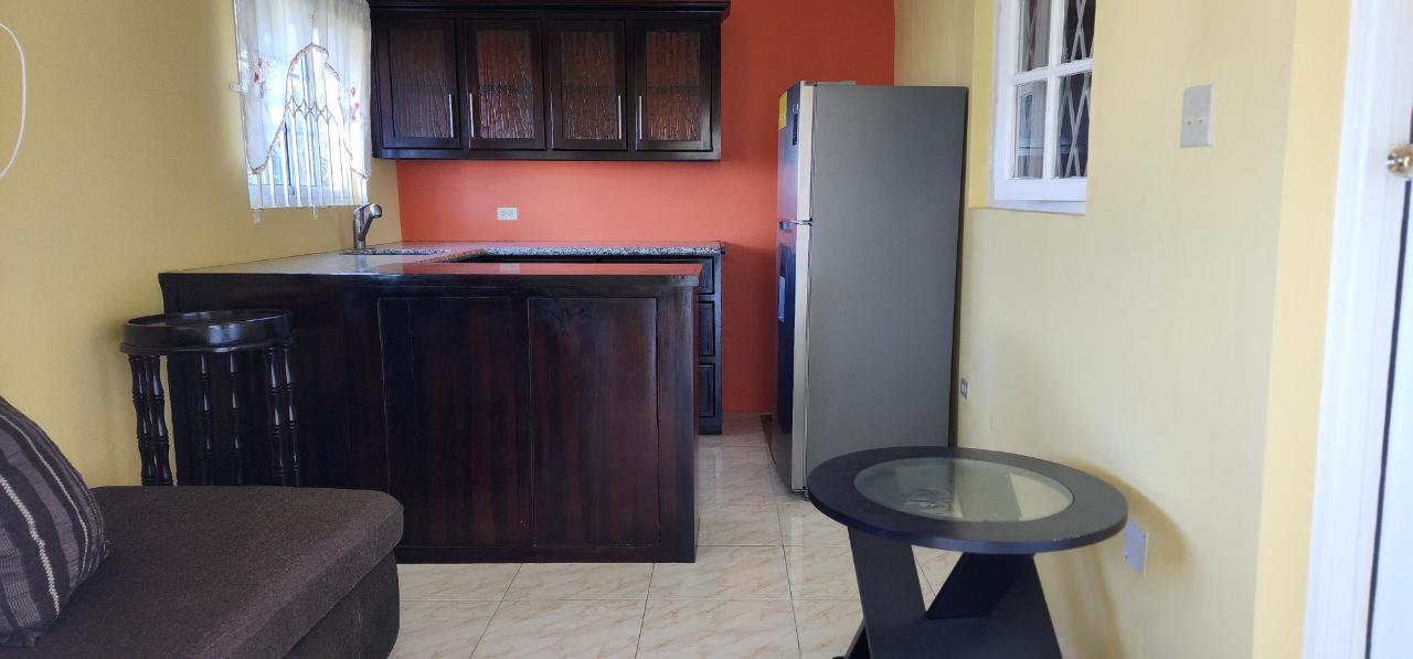 Apartment for Rent   Kingston 19