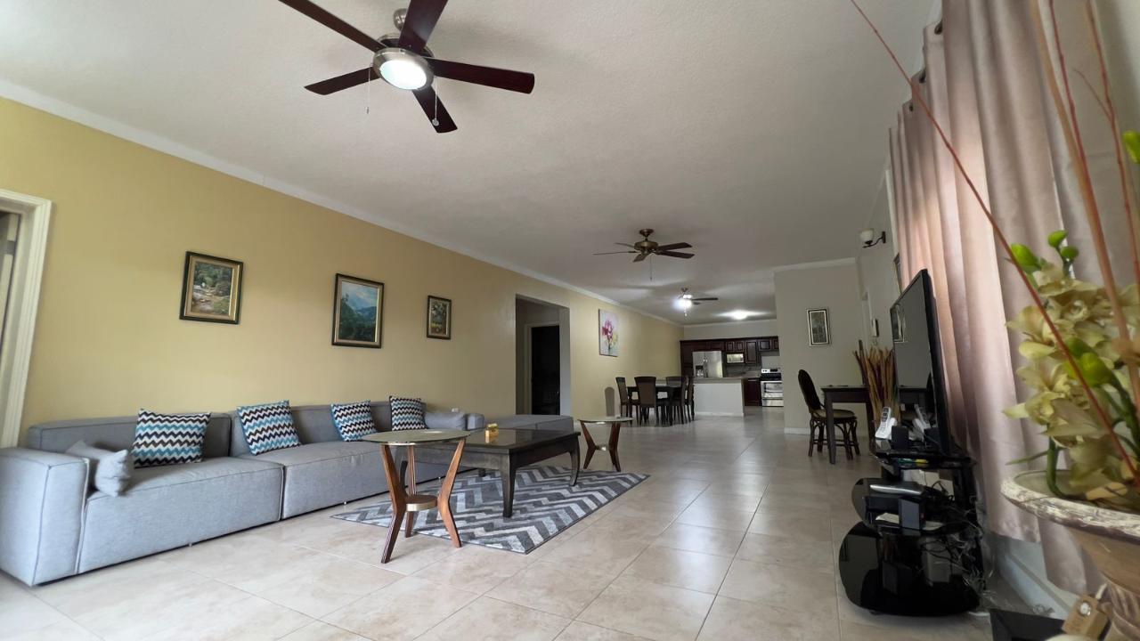 Apartment for Rent   Kingston 6