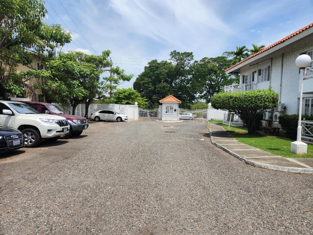 Apartment for Rent   Kingston 6