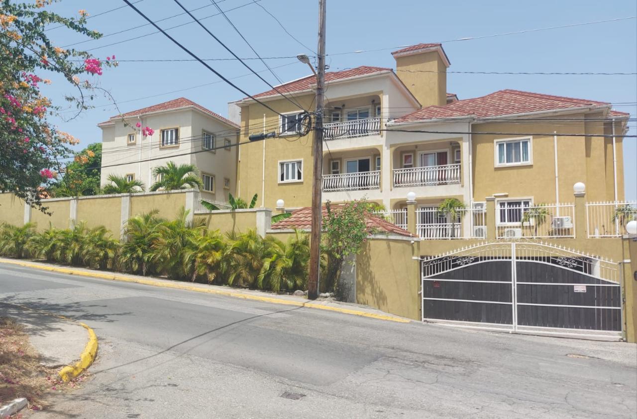 Apartment for Rent   Kingston 6