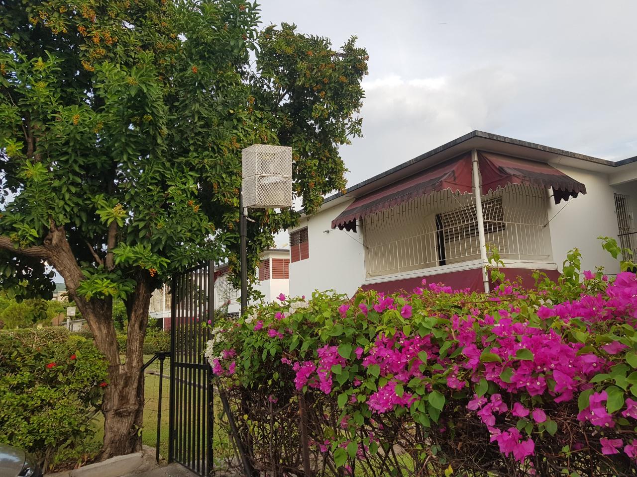 Apartment for Sale   Kingston 5