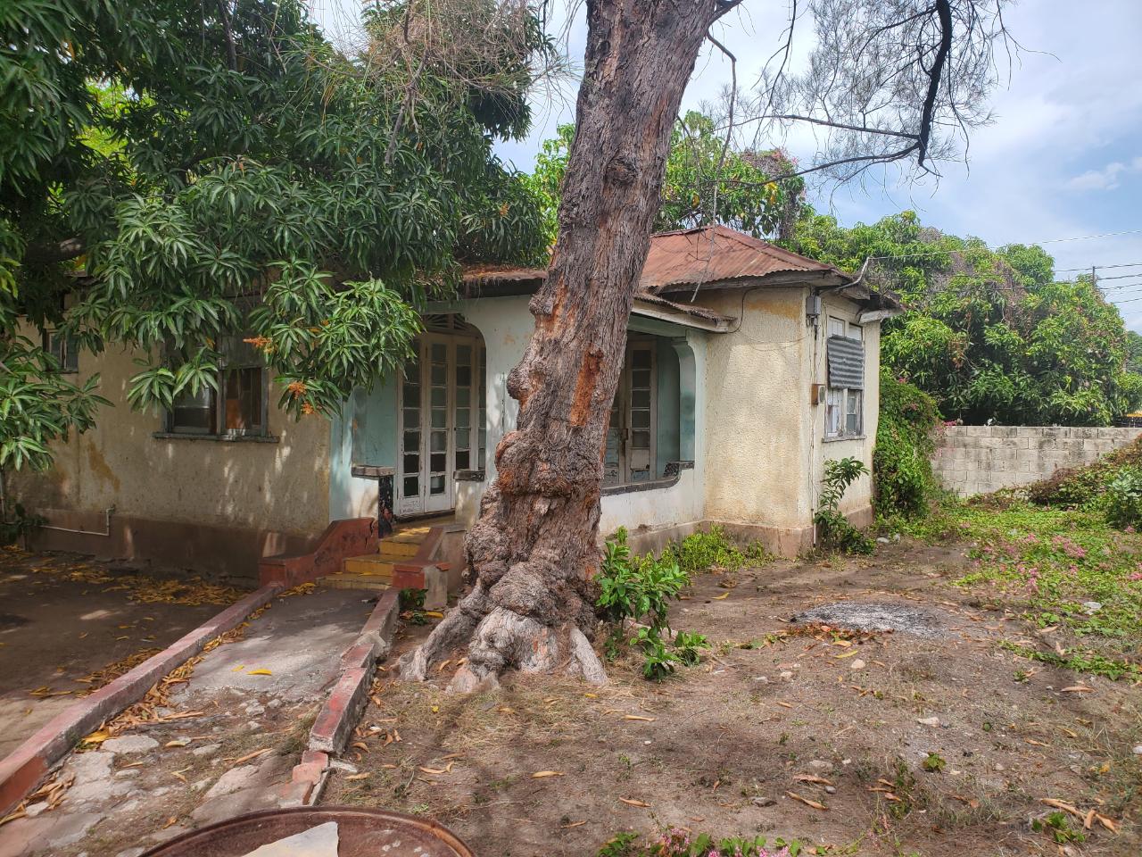 House for Sale   Kingston 2